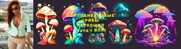ешки Богородск