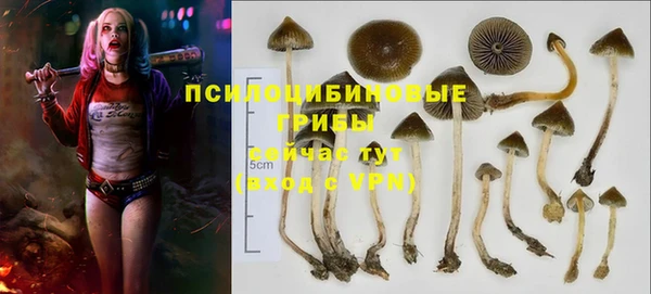 гашишное масло Богородицк