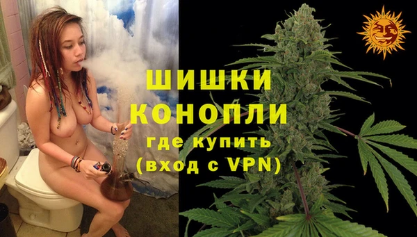 крисы Богданович