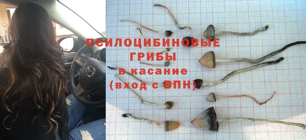 крисы Богданович