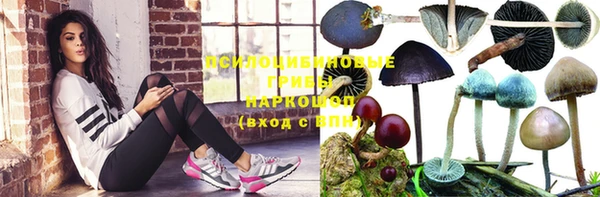 крисы Богданович