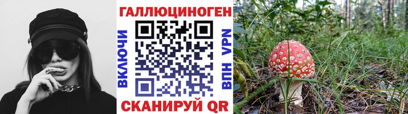 купить наркотик  hydra рабочий сайт  Псилоцибиновые грибы MAGIC MUSHROOMS  Донецк 